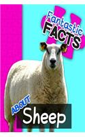 Fantastic Facts about Sheep: Illustrated Fun Learning for Kids