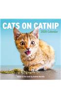 Cats on Catnip Wall Calendar 2020
