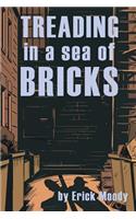 Treading in a Sea of Bricks