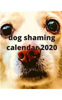 dog shaming Calendar 2020