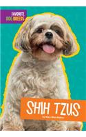 Shih Tzus