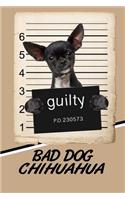 Bad Dog Chihuahua