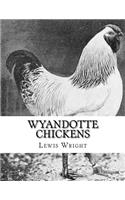 Wyandotte Chickens