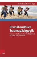 Praxishandbuch Traumapädagogik