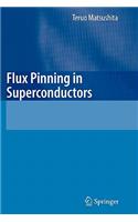 Flux Pinning in Superconductors