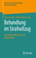 Behandlung Im Strafvollzug