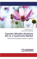 Cypselar Morpho-Anatomy ACT as a Taxonomic Marker