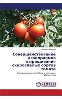 Sovershenstvovanie agropriemov vyrashchivaniya skorospelykh sortov tomata