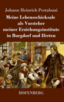 Meine Lebensschicksale als Vorsteher meiner Erziehungsinstitute in Burgdorf und Iferten
