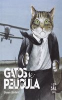 Gatos de pelicula
