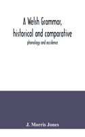 A Welsh grammar, historical and comparative
