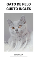 Gato de Pelo Curto Inglês