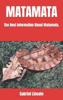 Matamata
