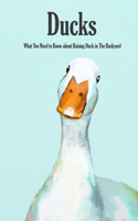 Ducks