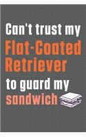 Can't trust my Flat-Coated Retriever to guard my sandwich: For Flat-Coated Retriever Dog Breed Fans