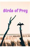 Birds of Prey