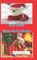 Brutus & Chanel Discover Their First Christmas