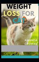 Weight Loss For Cat