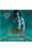 Bound by Flames: A Night Prince Novel(3 Night Prince)