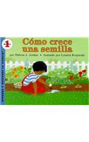 Como Crece Una Semilla