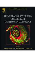 The Zebrafish