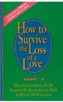 How to Survive the Loss of a Love