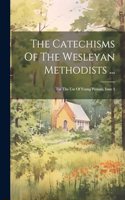 Catechisms Of The Wesleyan Methodists ...: For The Use Of Young Persons, Issue 3