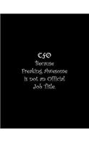 CFO Because Freaking Awesome is not an Official Job Title