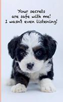 Your secrets are save with me! I wasn't even listening!