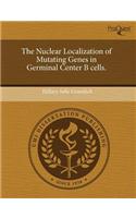 The Nuclear Localization of Mutating Genes in Germinal Center B Cells.