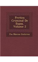 PR Ctica Criminal de Espa A, Volume 2