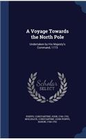 A Voyage Towards the North Pole
