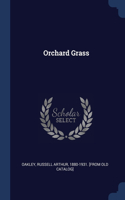 Orchard Grass