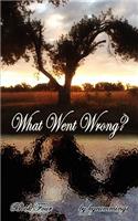 What Went Wrong?