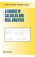 A Course in Calculus and Real Analysis