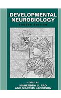Developmental Neurobiology