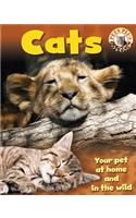 Pets Plus: Cats