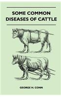 Some Common Diseases of Cattle