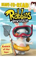 Rabbid of the Sea