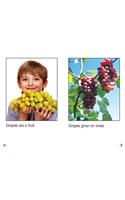 All about Grapes