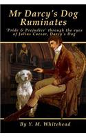 Mr Darcy's dog ruminates