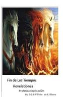 Fin de los Tiempos REVELACIONES Profetiza Explicacion