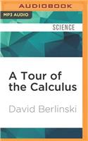 Tour of the Calculus