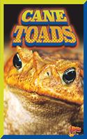 Cane Toads