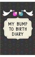 My Bump to Birth Diary