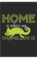 Home is where my chameleon is