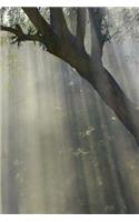Olive Tree Notebook