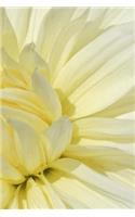 White Petals Notebook