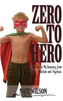 Zero to Hero: The Tale of My Recovery from Drug Addiction and Psychosis