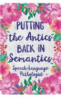 Putting the Antics Back in Semantics Speech Language Pathologist